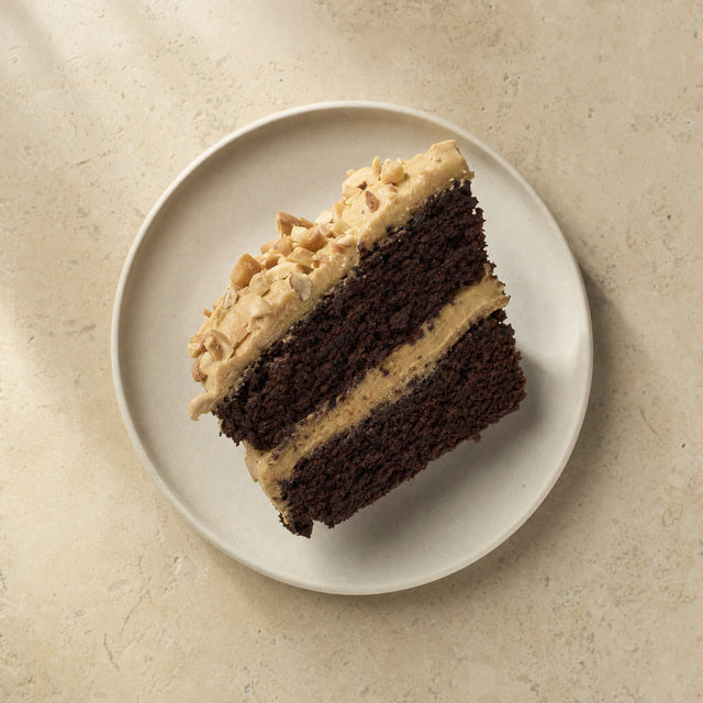 Chocolate peanut butter protein cake slice